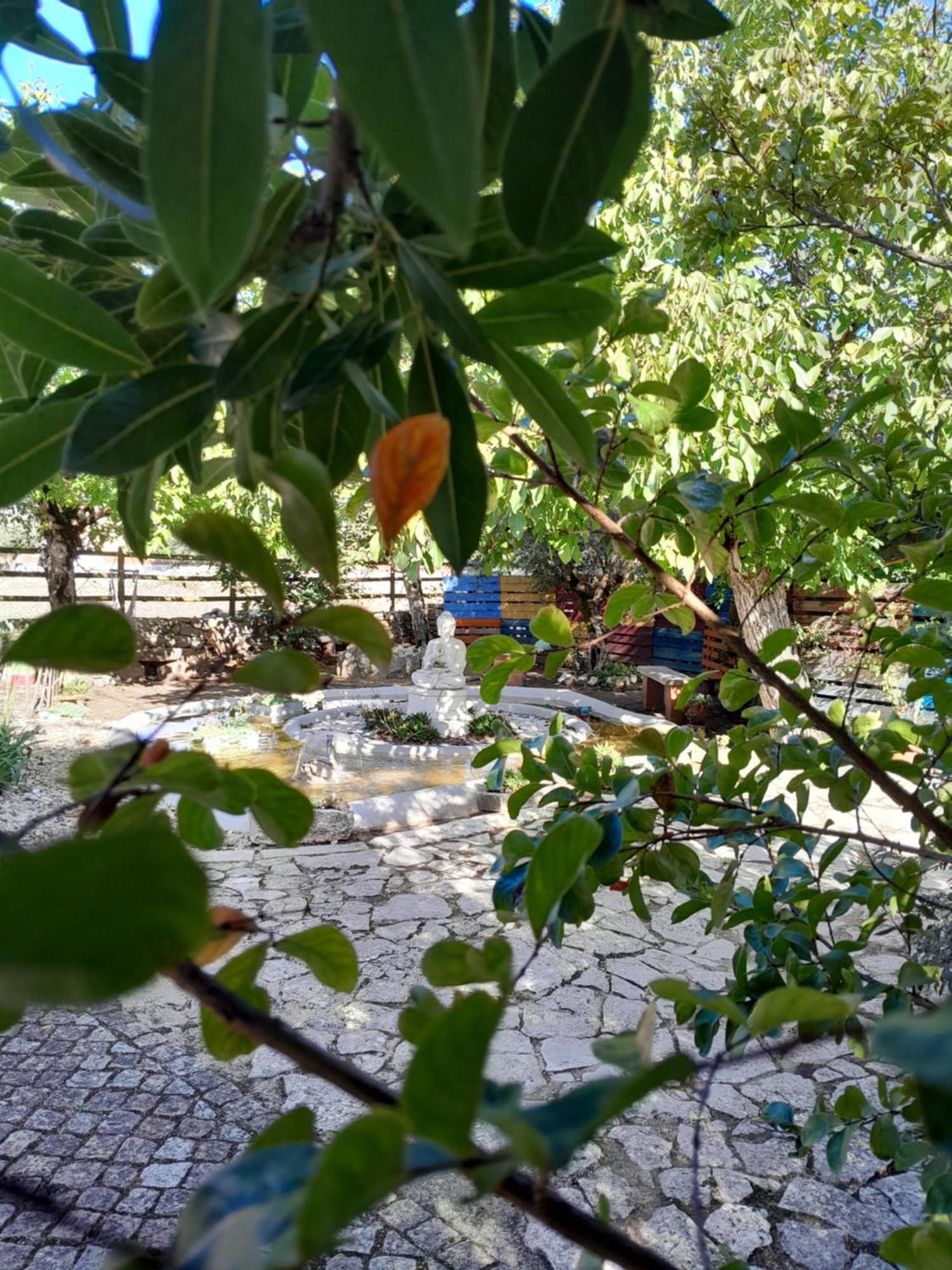 Refugio Das Artes Guesthouse Porto de Mós Εξωτερικό φωτογραφία