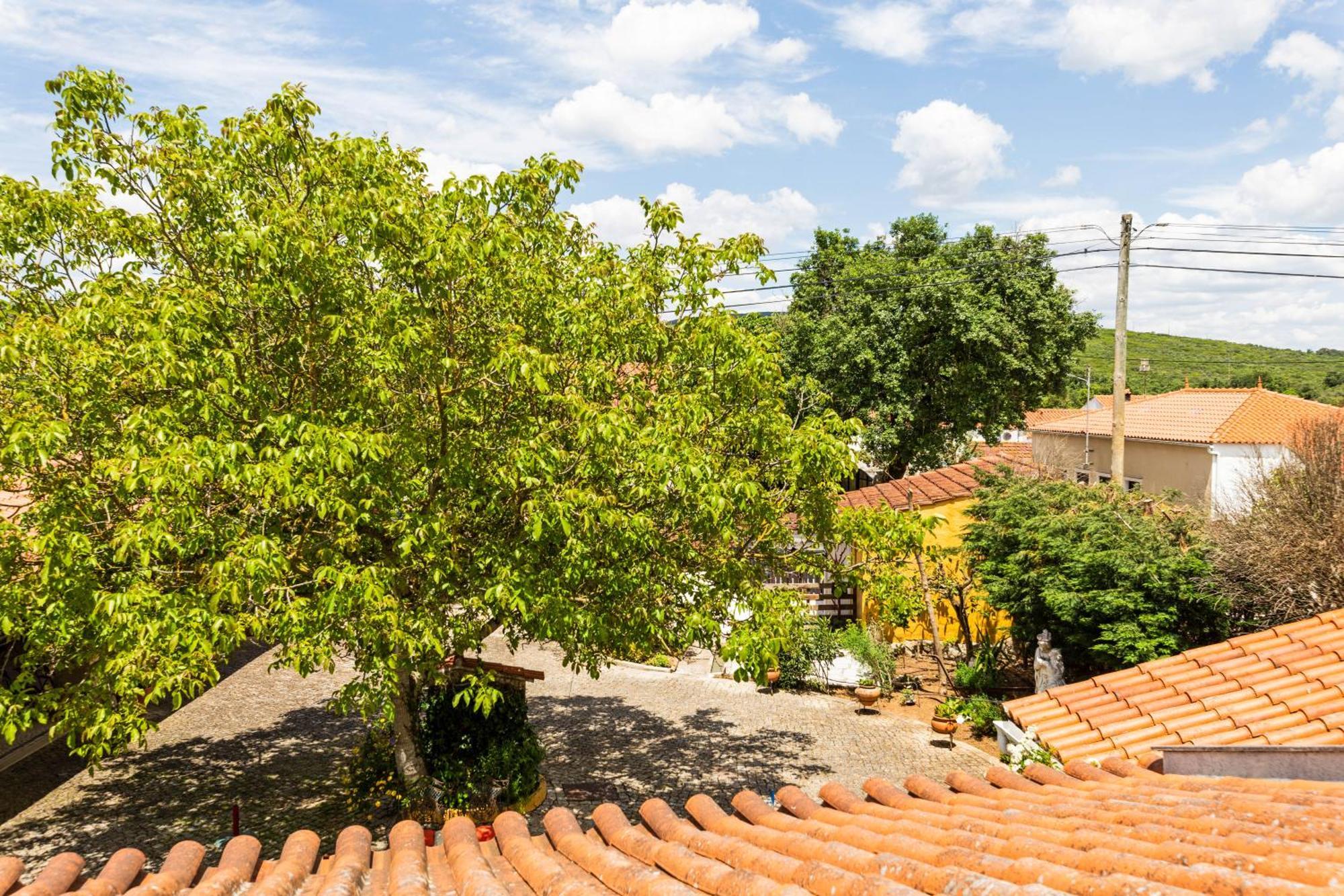 Refugio Das Artes Guesthouse Porto de Mós Εξωτερικό φωτογραφία